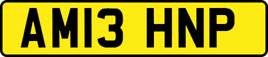 AM13HNP