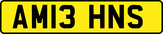 AM13HNS
