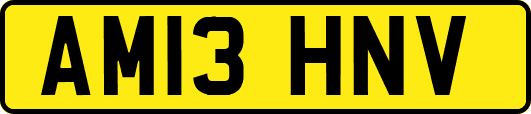 AM13HNV