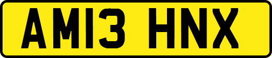 AM13HNX
