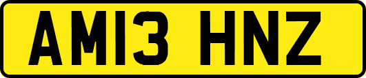 AM13HNZ