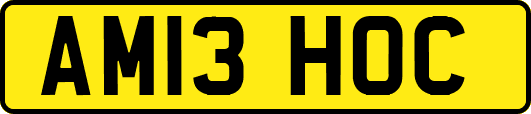 AM13HOC