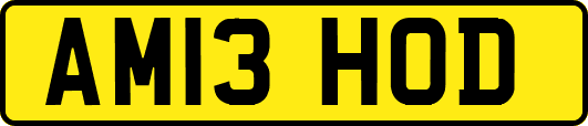 AM13HOD