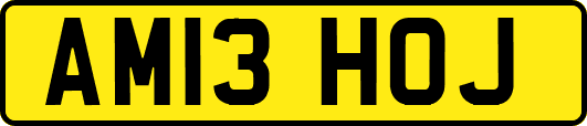 AM13HOJ