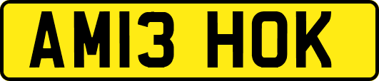 AM13HOK