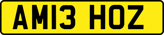 AM13HOZ