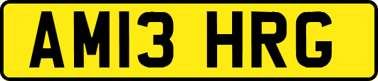 AM13HRG