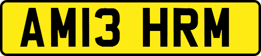 AM13HRM