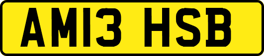 AM13HSB
