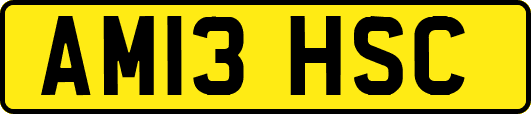 AM13HSC