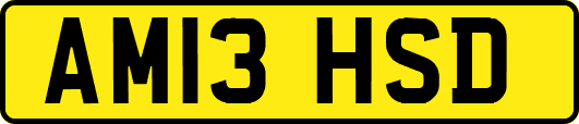 AM13HSD