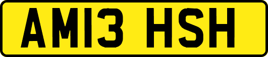 AM13HSH