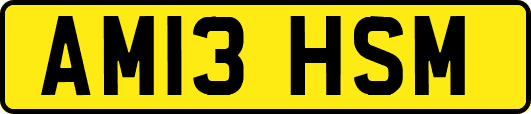 AM13HSM