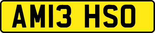 AM13HSO