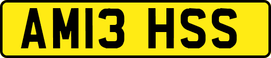 AM13HSS