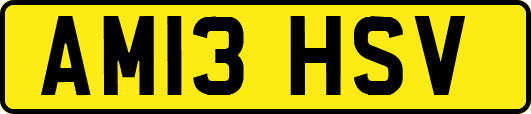 AM13HSV