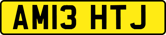 AM13HTJ