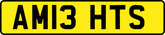 AM13HTS