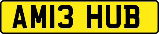AM13HUB