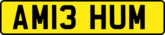 AM13HUM