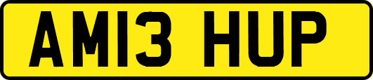 AM13HUP