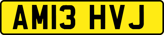 AM13HVJ