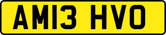 AM13HVO