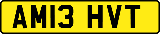 AM13HVT