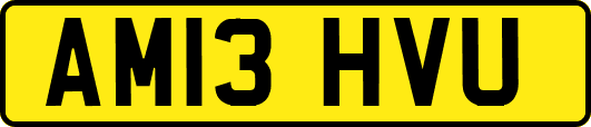 AM13HVU