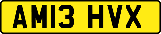 AM13HVX