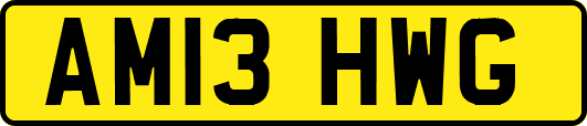 AM13HWG