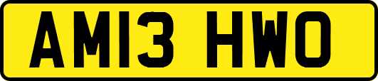 AM13HWO