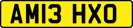 AM13HXO