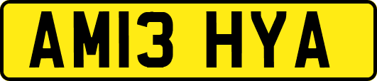 AM13HYA