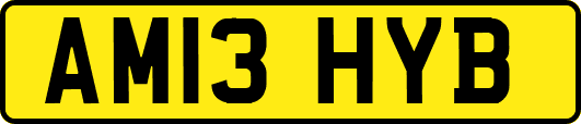 AM13HYB