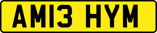 AM13HYM