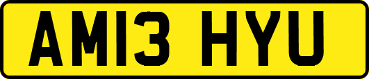 AM13HYU