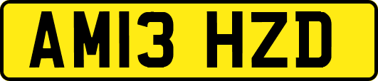 AM13HZD