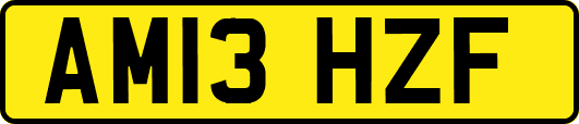 AM13HZF