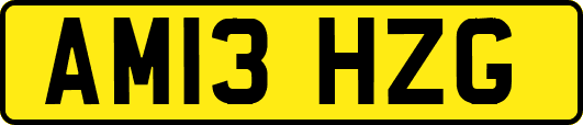 AM13HZG