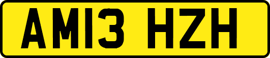 AM13HZH