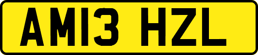AM13HZL