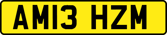 AM13HZM