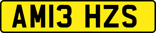 AM13HZS