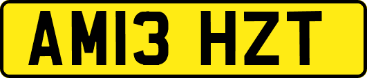 AM13HZT