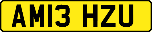 AM13HZU