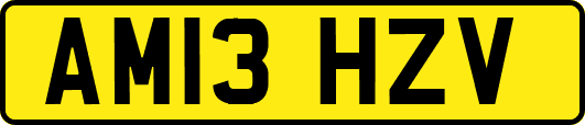 AM13HZV