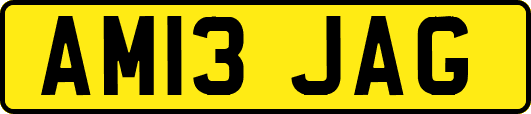 AM13JAG