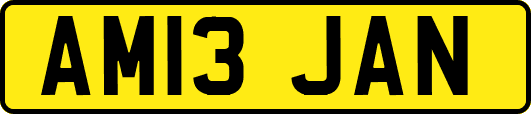 AM13JAN