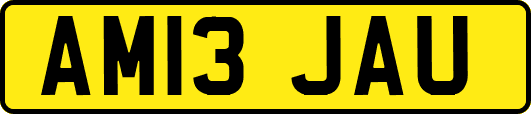 AM13JAU